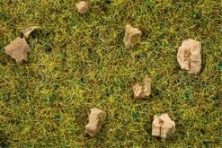 8360 Noch Streugras Steinige Bergwiese