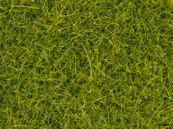 8363 Noch Streugras 1 8363 Noch Streugras