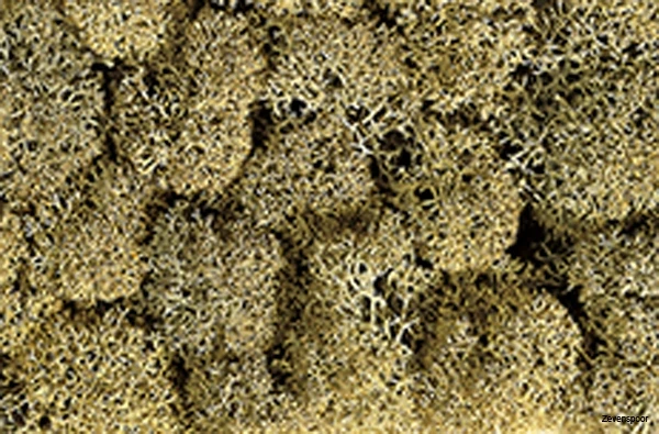 8600 Noch Dekormoos 1 8600 Noch Dekormoos