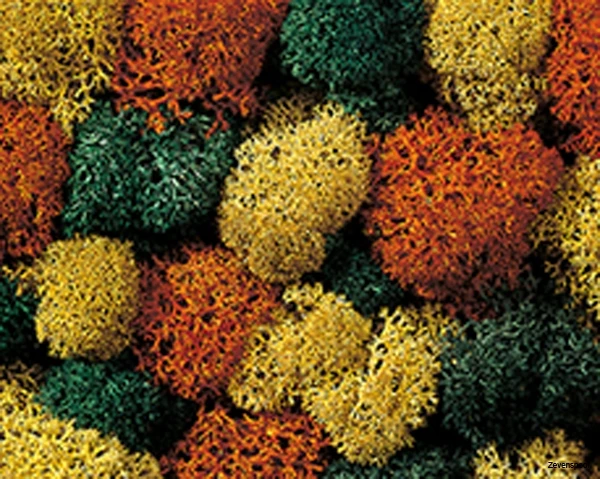 8630 Noch Dekormoos 1 8630 Noch Dekormoos